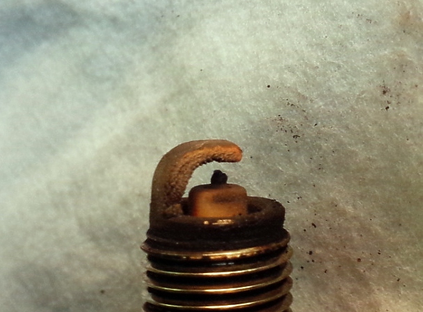 ���܂̕s������L