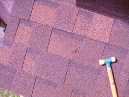 ���܂̕s������L