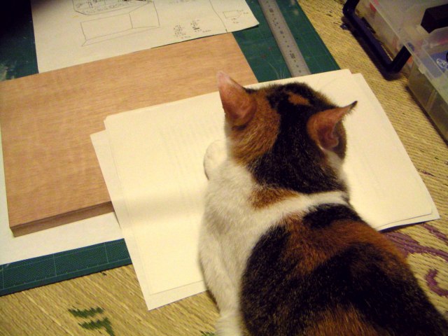 ���܂̕s������L