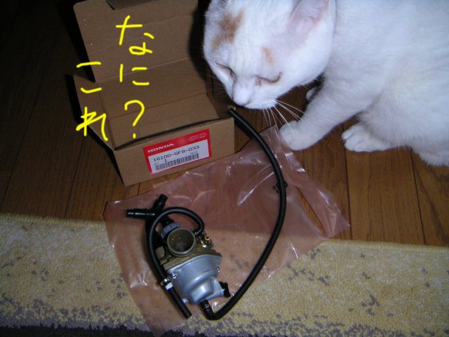 ���܂̕s������L