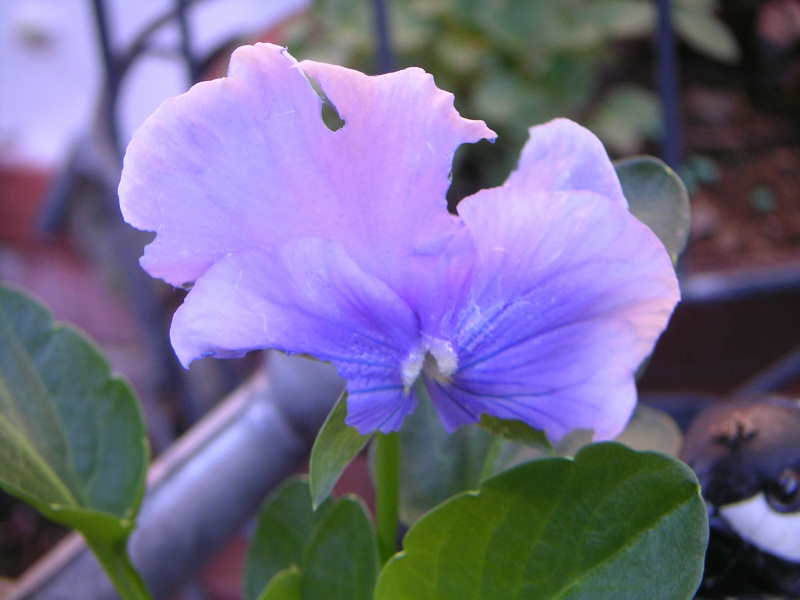 ���܂̕s������L