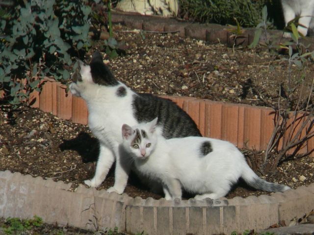 ���܂̕s������L