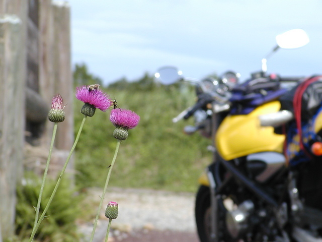 ���܂̕s������L