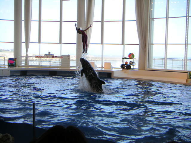 ���܂̕s������L