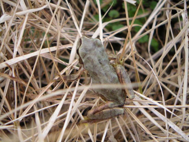 ���܂̕s������L