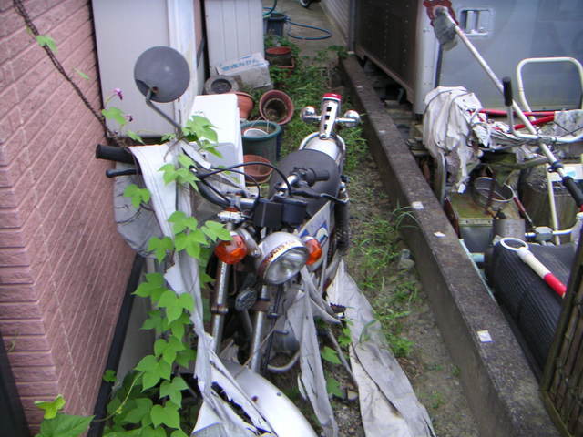 ���܂̕s������L