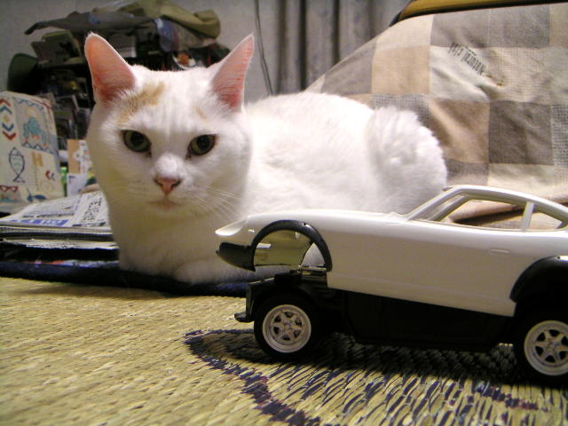 ���܂̕s������L