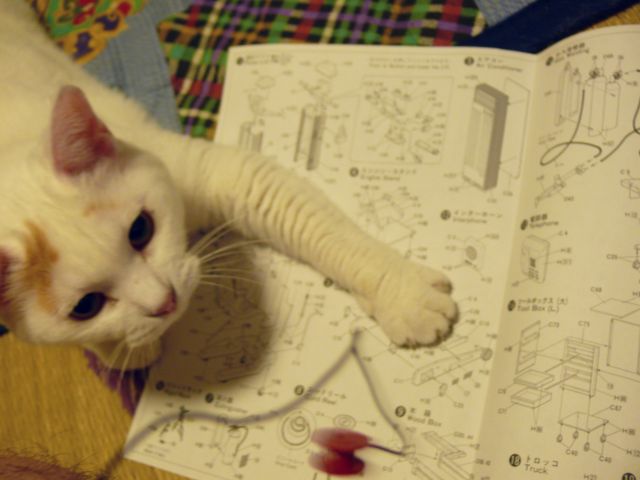 ���܂̕s������L