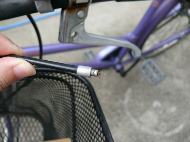 ���܂̕s������L