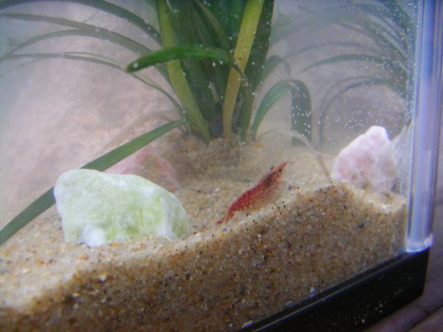 ���܂̕s������L