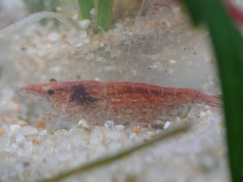 ���܂̕s������L