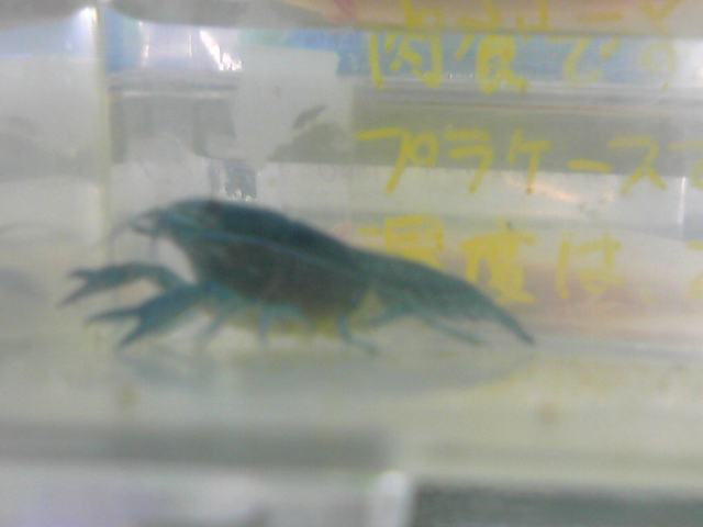 ���܂̕s������L