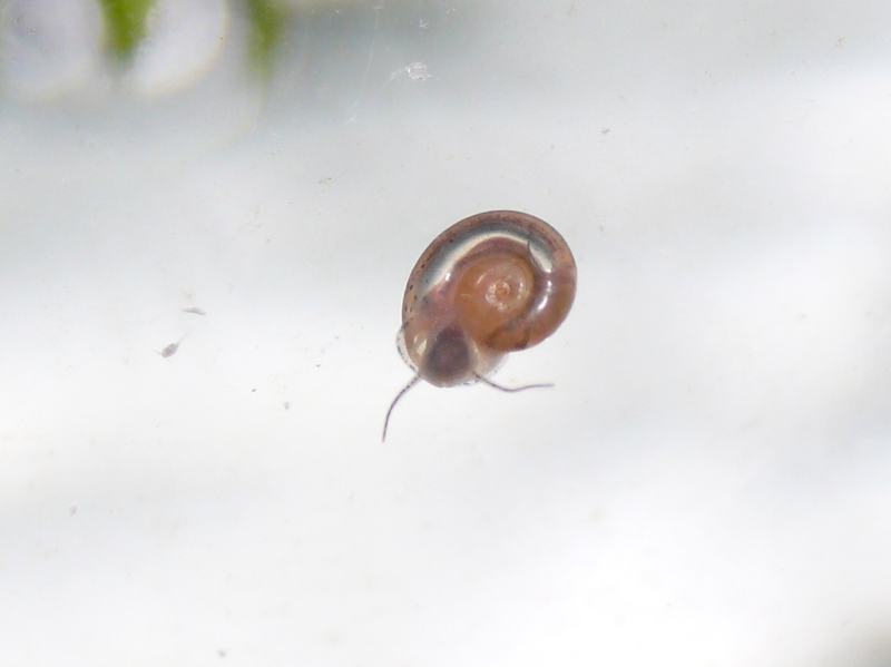 ���܂̕s������L