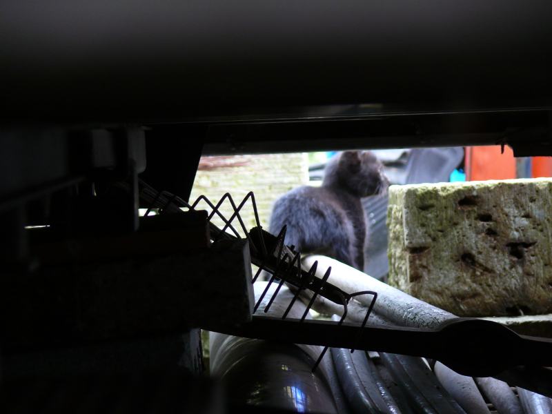 ���܂̕s������L