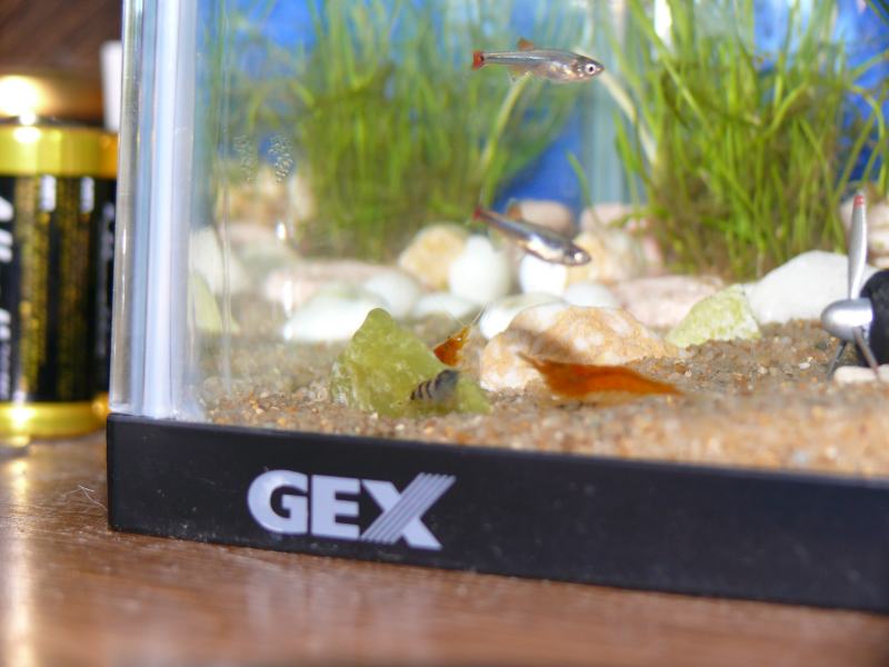 ���܂̕s������L