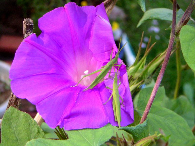 ���܂̕s������L