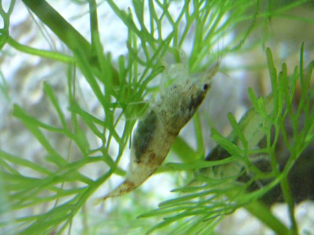 ���܂̕s������L