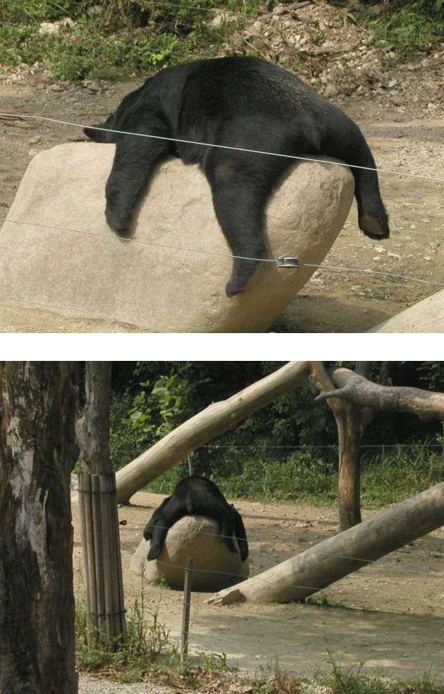 ���܂̕s������L