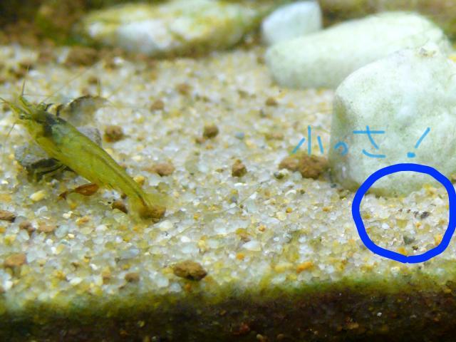 ���܂̕s������L