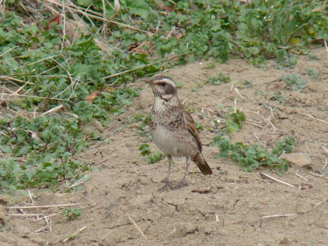 ���܂̕s������L