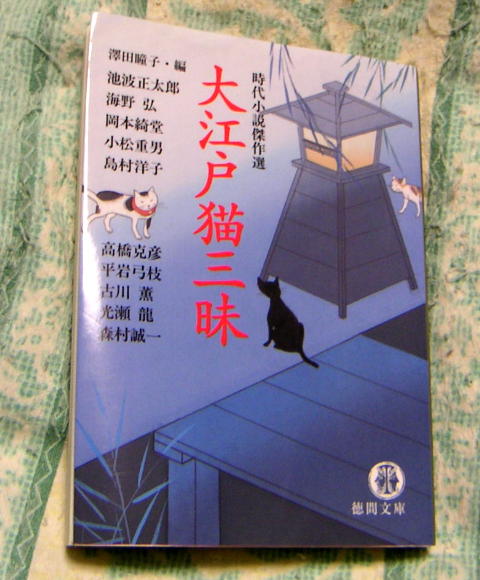 ���܂̕s������L