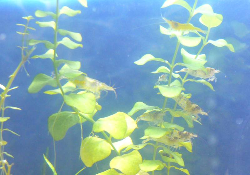 ���܂̕s������L