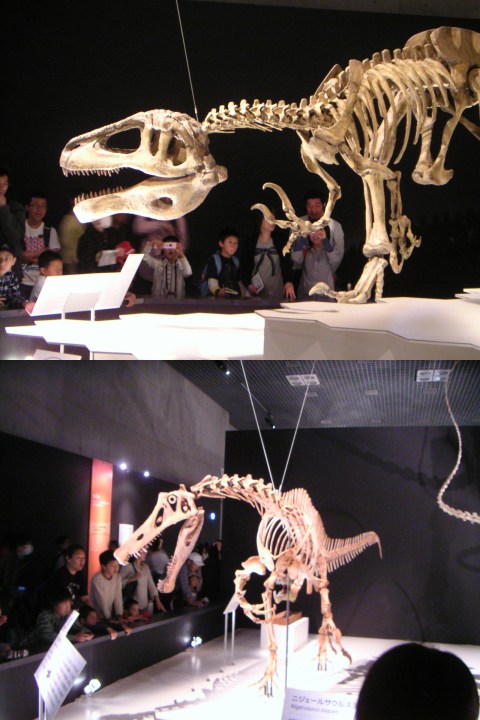 ���܂̕s������L