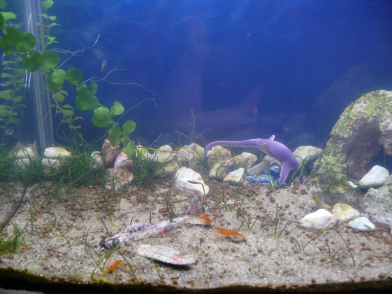 ���܂̕s������L