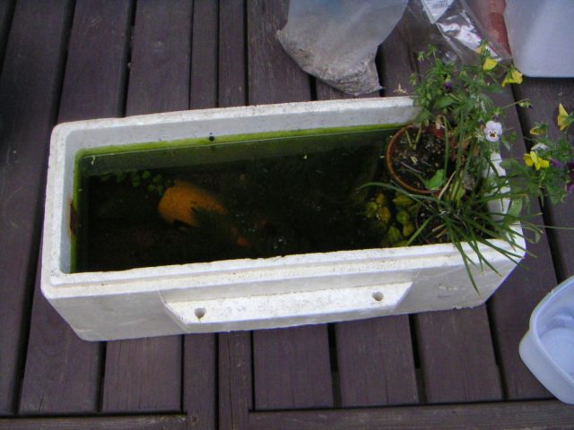 ���܂̕s������L