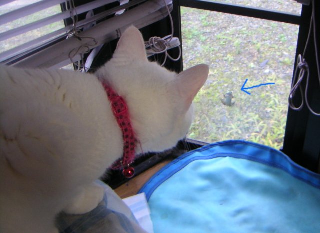 ���܂̕s������L