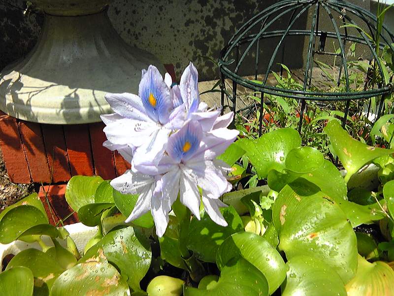 ���܂̕s������L