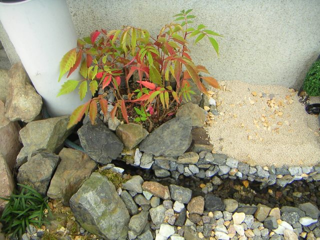 ���܂̕s������L