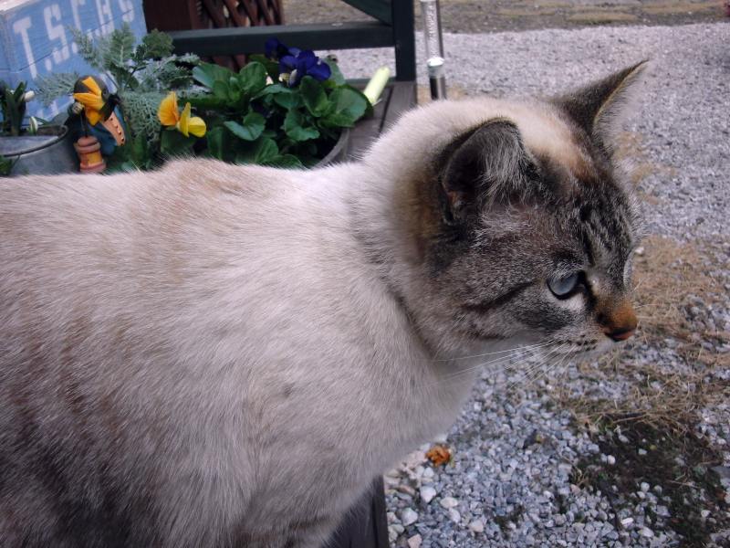 ���܂̕s������L