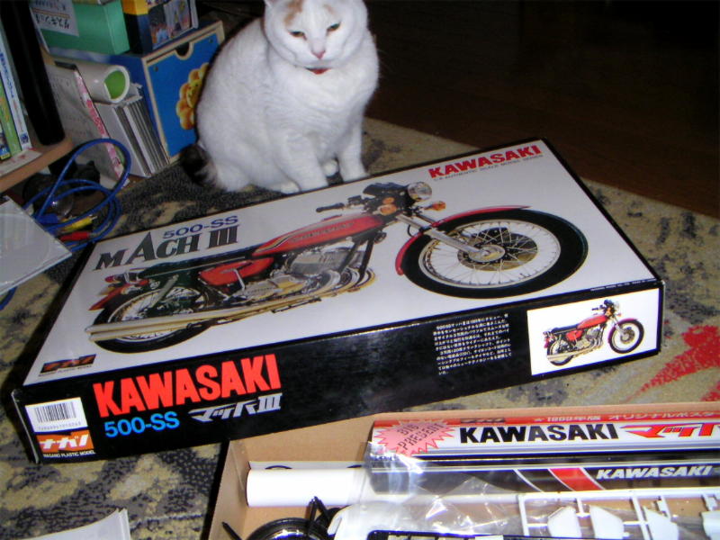 ���܂̕s������L