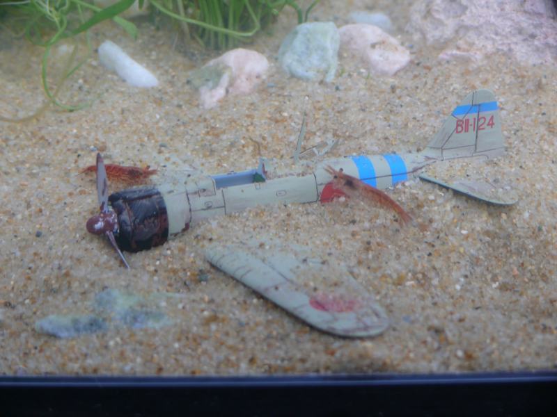 ���܂̕s������L