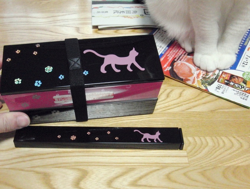 ���܂̕s������L