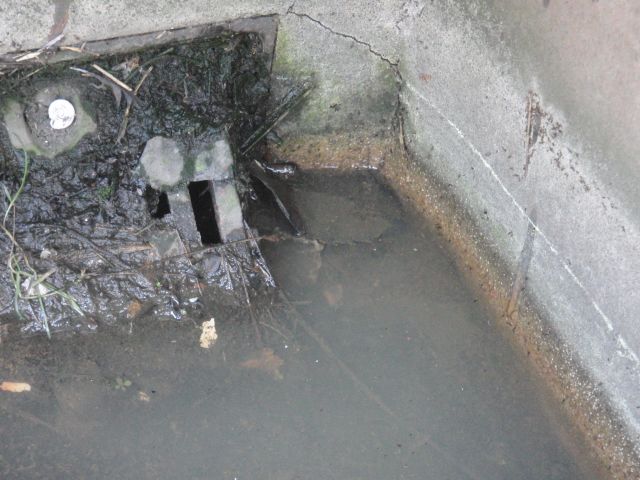 ���܂̕s������L