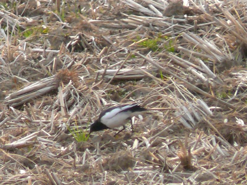 ���܂̕s������L