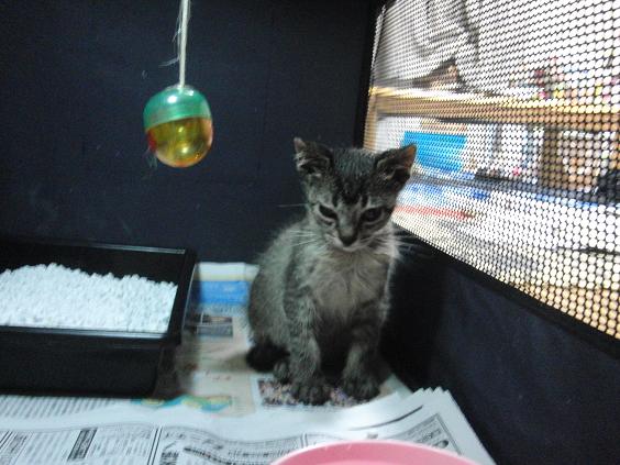 ���܂̕s������L