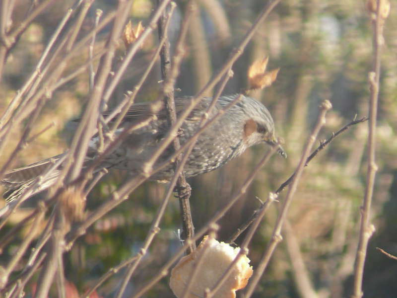 ���܂̕s������L