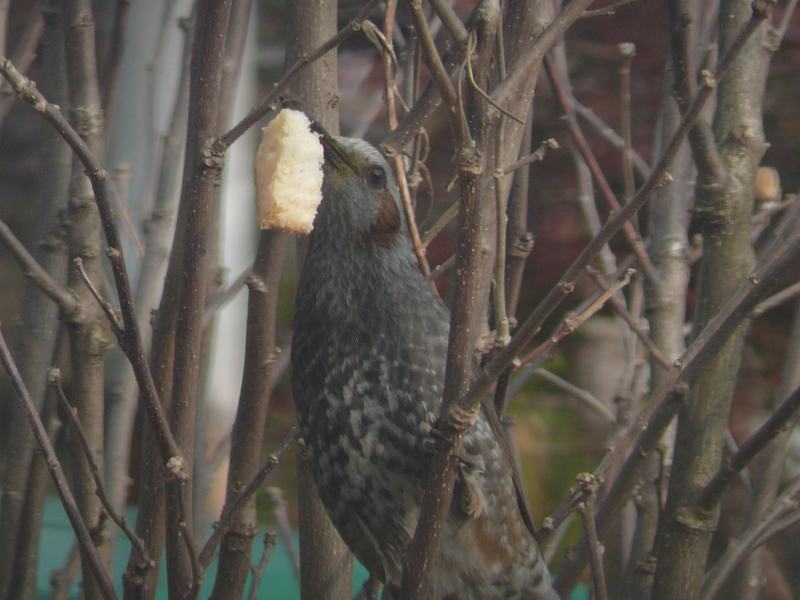 ���܂̕s������L