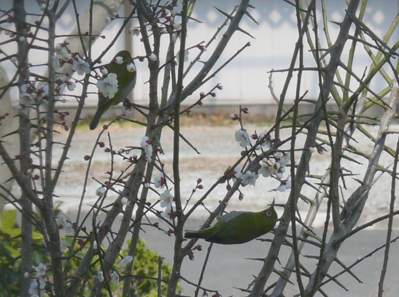 ���܂̕s������L