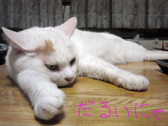 ���܂̕s������L