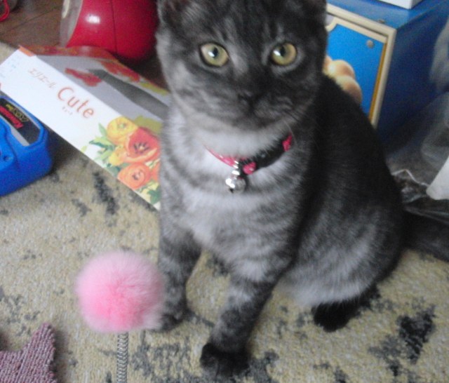 ���܂̕s������L