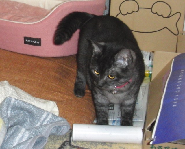 ���܂̕s������L