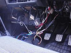 ���܂̕s������L