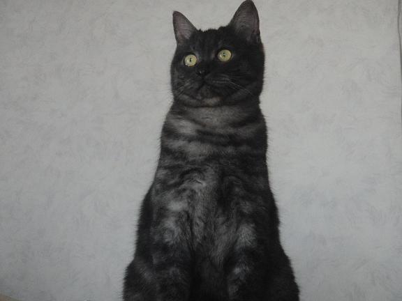 ���܂̕s������L