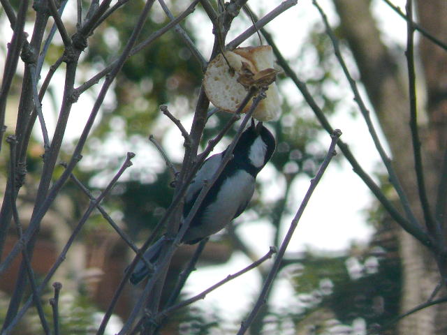 ���܂̕s������L