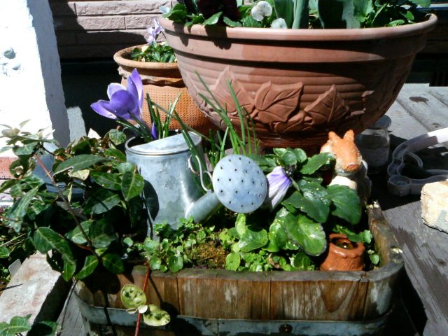 ���܂̕s������L