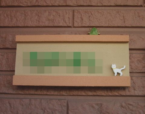 ���܂̕s������L